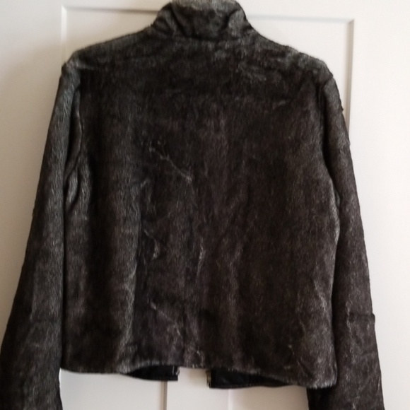 Jacket - Picture 5 of 5